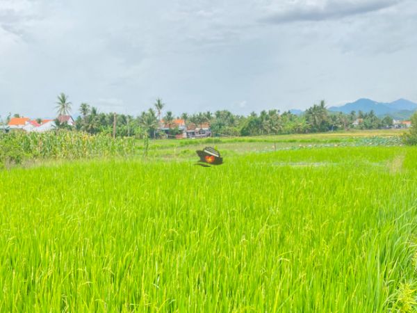 Private Jeep Tour Explore Countryside Nha Trang